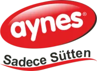 Aynes